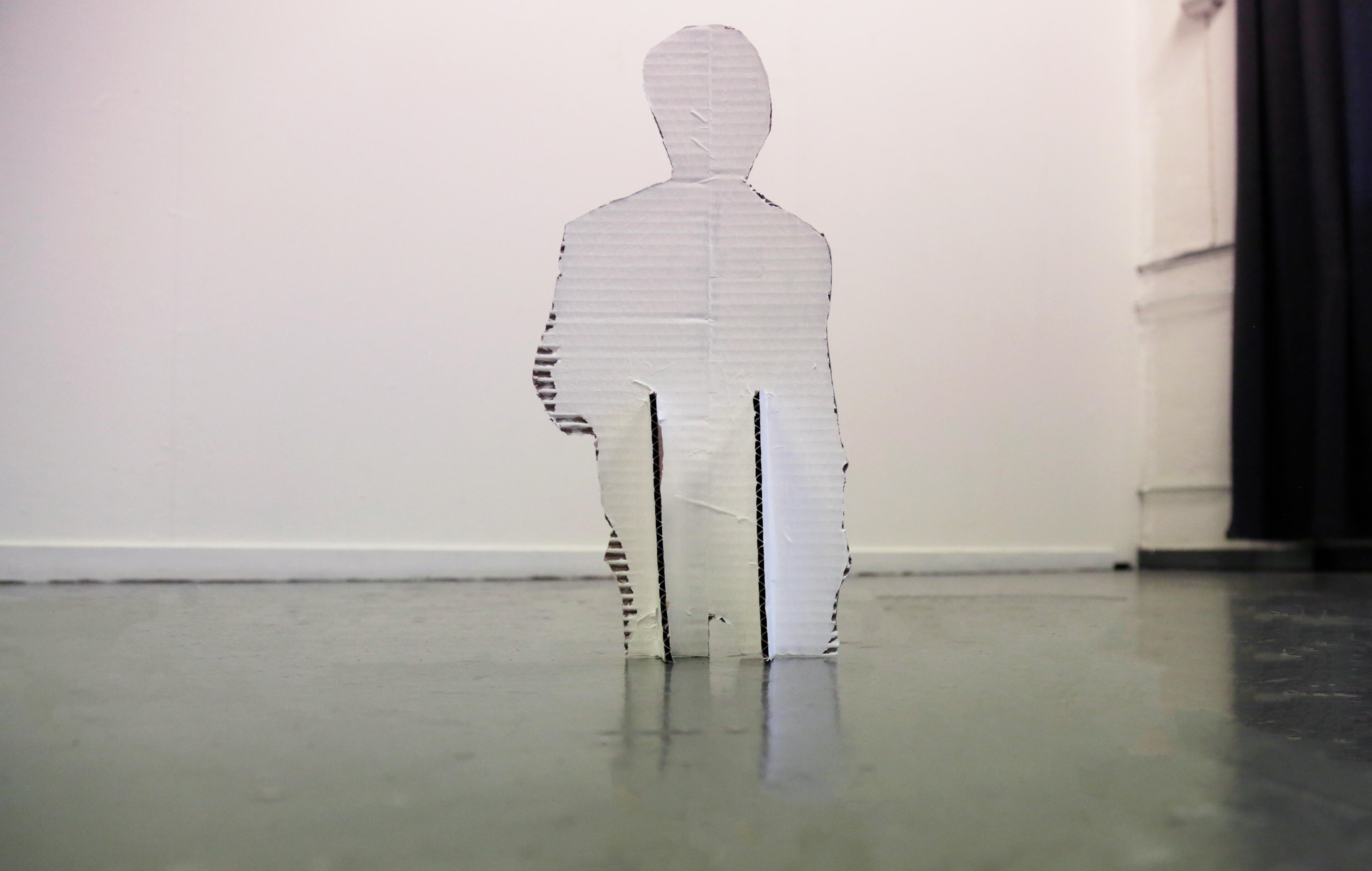 Actions Against Paparazzi Actions Against Paparazzi